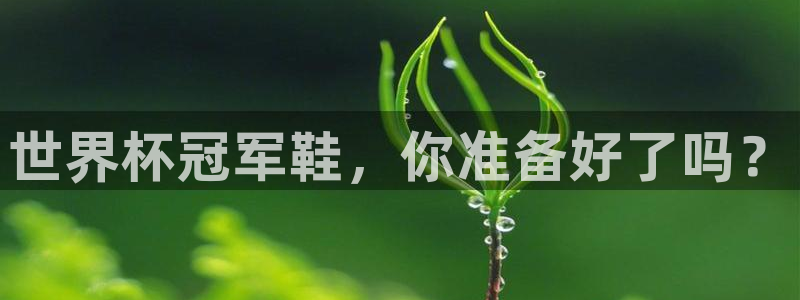 世界杯欧洲区世预赛赛程：世界杯冠军鞋，你准备好了吗？