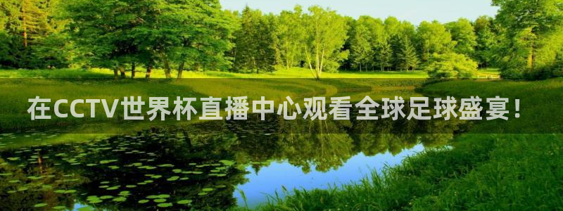 世界杯预选赛排名：在CCTV世界杯直播中心观看全球足球盛宴！