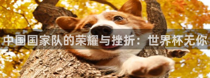世界杯足球2026：中国国家队的荣耀与挫折：世界杯无你