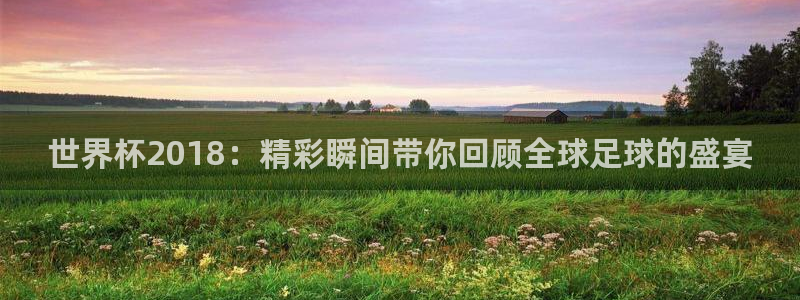 世界杯 2026：世界杯2018：精彩瞬间带你回顾全球足球的盛宴