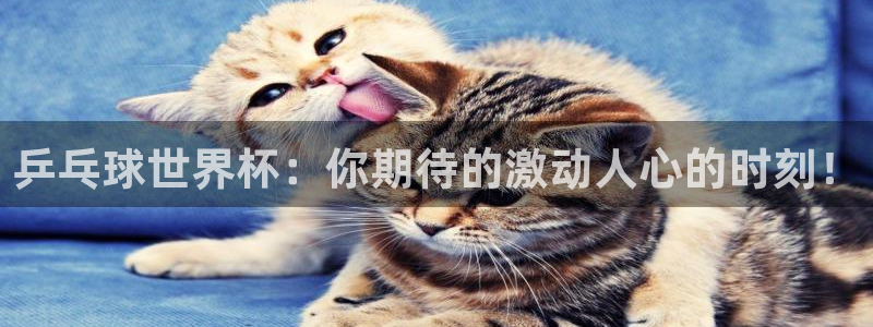 中国 世界杯：乒乓球世界杯：你期待的激动人心的时刻！