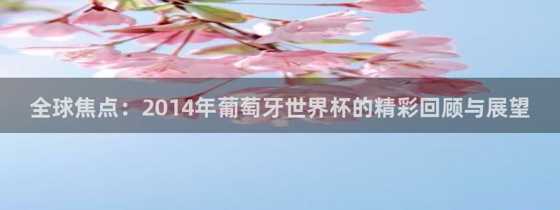 2026年世界杯直播平台：全球焦点：2014年葡萄牙世界杯的精彩回顾与展望