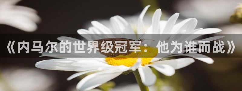 世界杯欧洲区世预赛赛程：《内马尔的世界级冠军：他为谁而战》