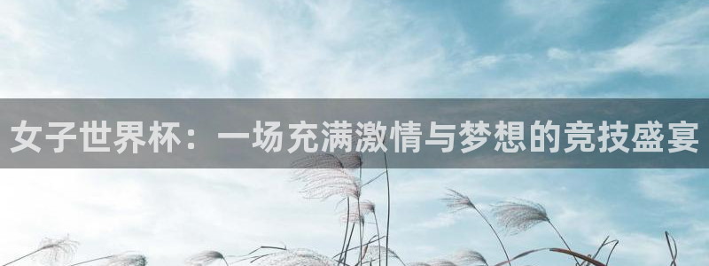 2026世界杯32强对阵图表：女子世界杯：一场充满激情与梦想的竞技盛宴