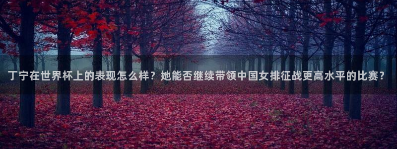 世界杯预选赛规则：丁宁在世界杯上的表现怎么样？她能否继续带领中国女排征战更高水平的比赛？