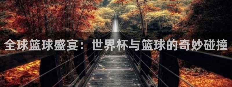 世界杯对阵表：全球篮球盛宴：世界杯与篮球的奇妙碰撞