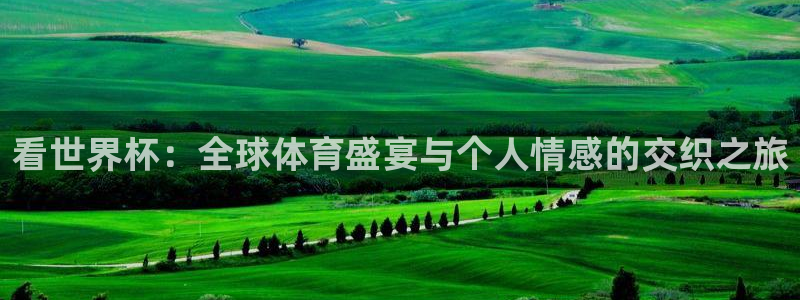 世预赛赛程表：看世界杯：全球体育盛宴与个人情感的交织之旅