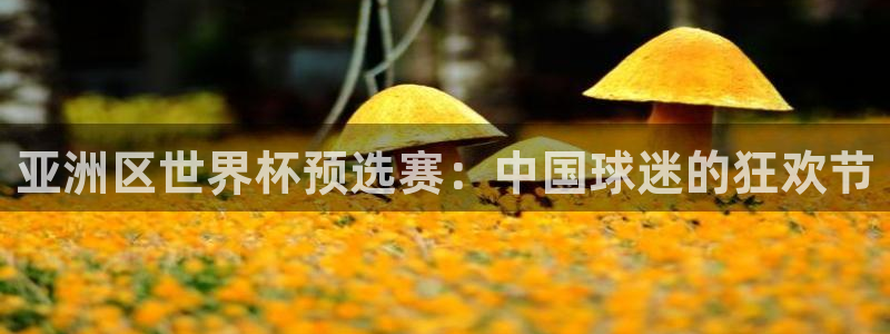 世界杯预选赛欧洲赛区积分榜：亚洲区世界杯预选赛：中国球迷的狂欢节