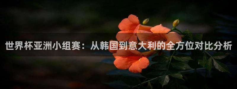 2026世预赛赛程表：世界杯亚洲小组赛：从韩国到意大利的全方位对比分析