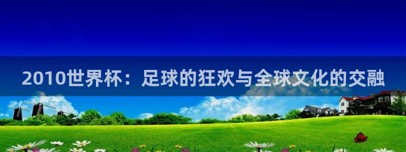 美国世界杯：2010世界杯：足球的狂欢与全球文化的交融