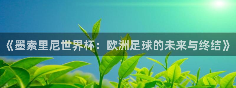 世界杯亚洲区预选赛积分榜：《墨索里尼世界杯：欧洲足球的未来与终结》