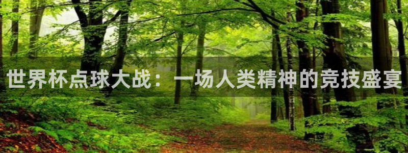 2026世界杯赛程表完整版：世界杯点球大战：一场人类精神的竞技盛宴