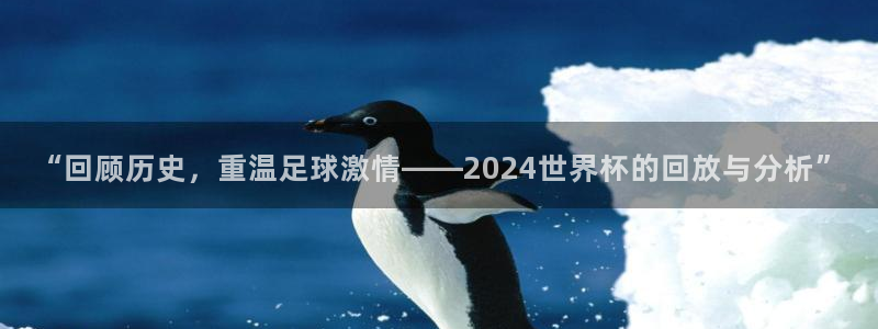 世界杯足球比赛：“回顾历史，重温足球激情——2024世界杯的回放与分析”